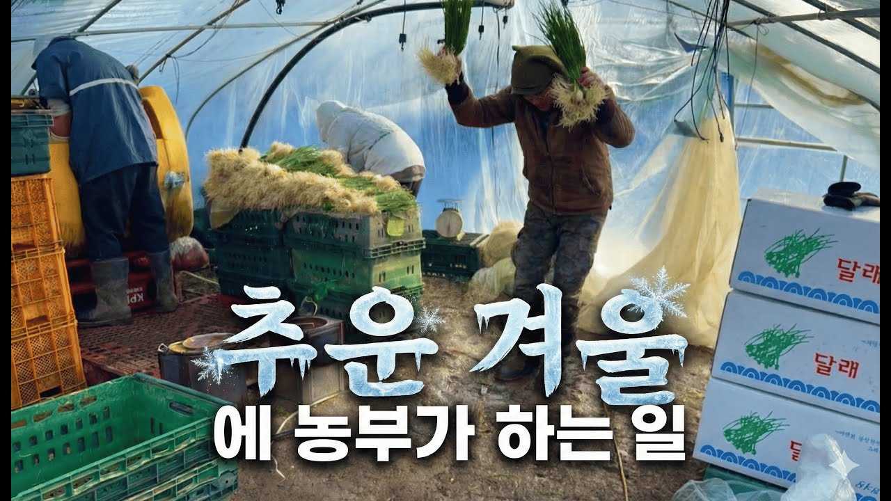 이렇게 추운 날에 농장에서 무슨 일을 해요?