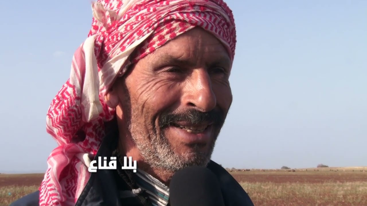 راعي أغنام يكشف:الزوالي مفجوع من العلوش والفلاح مصدووم من العلفة لكن االدمار الحقيقي خلقه المحتكرون