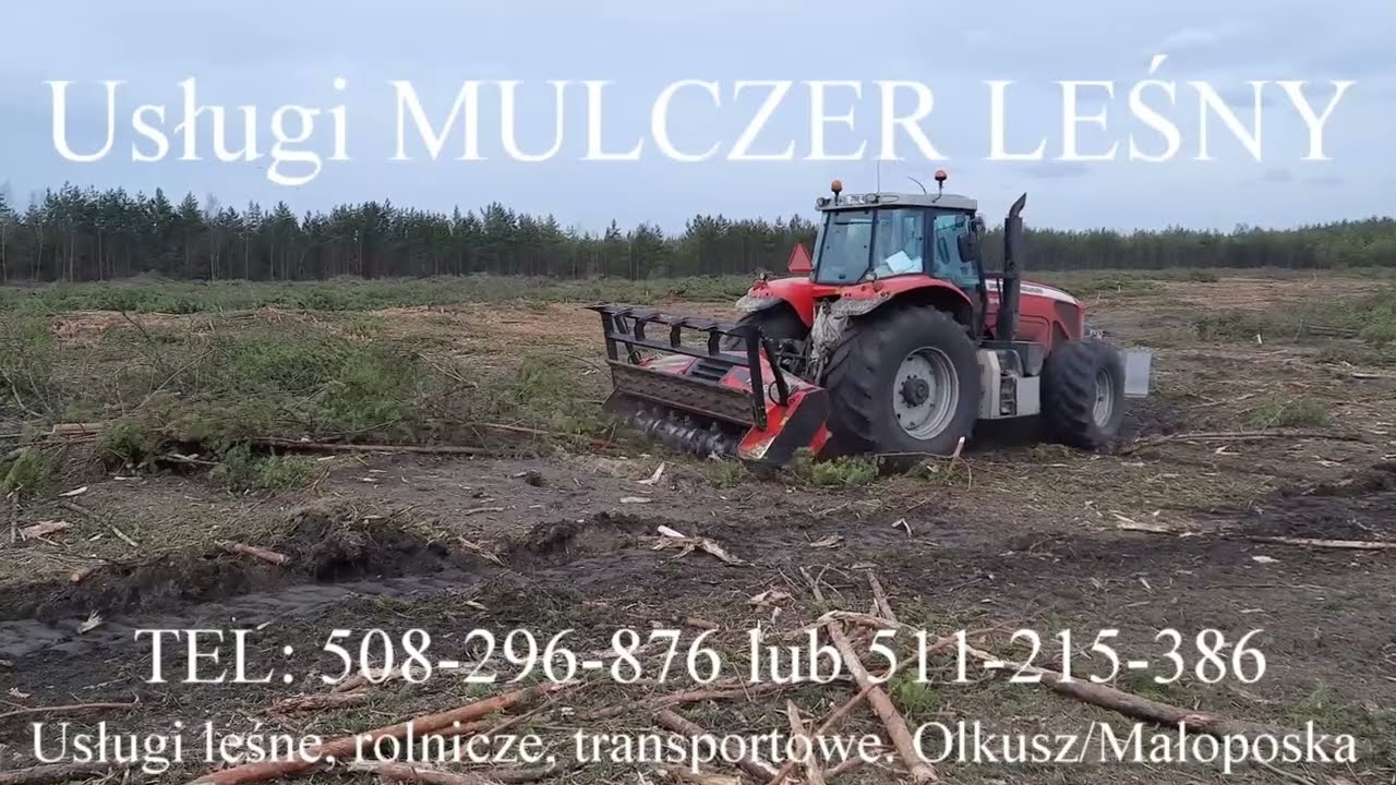 Mulczowanie  zarośli, Usługi MULCZER LEŚNY ||  FOREST-AGRO