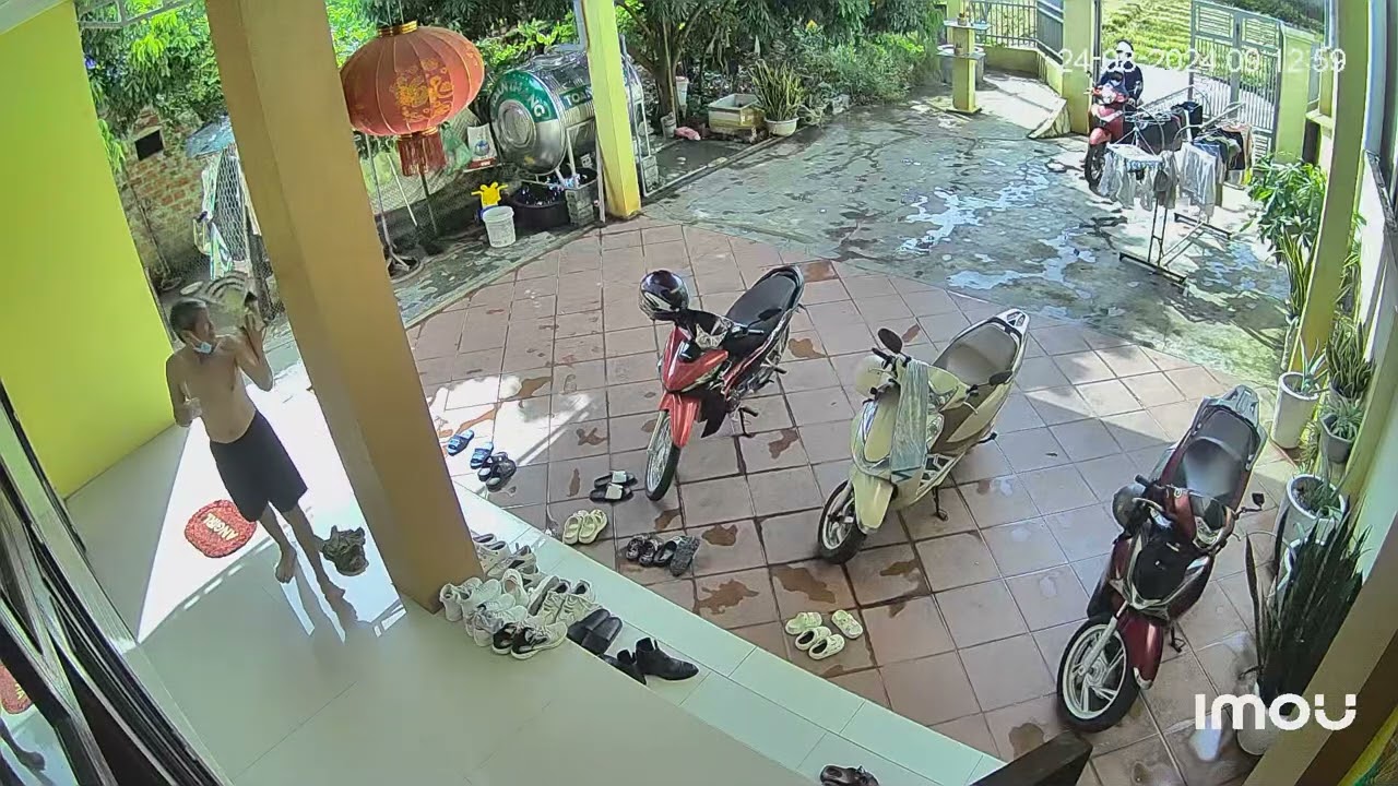 Đại bàng bay vào đậu trên tay người già nguy hiểm