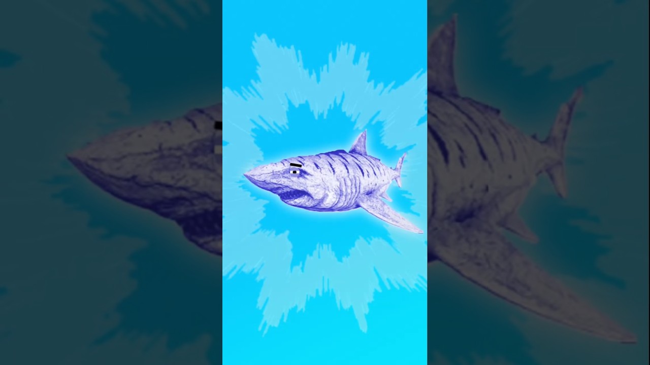 megalodon 🦈