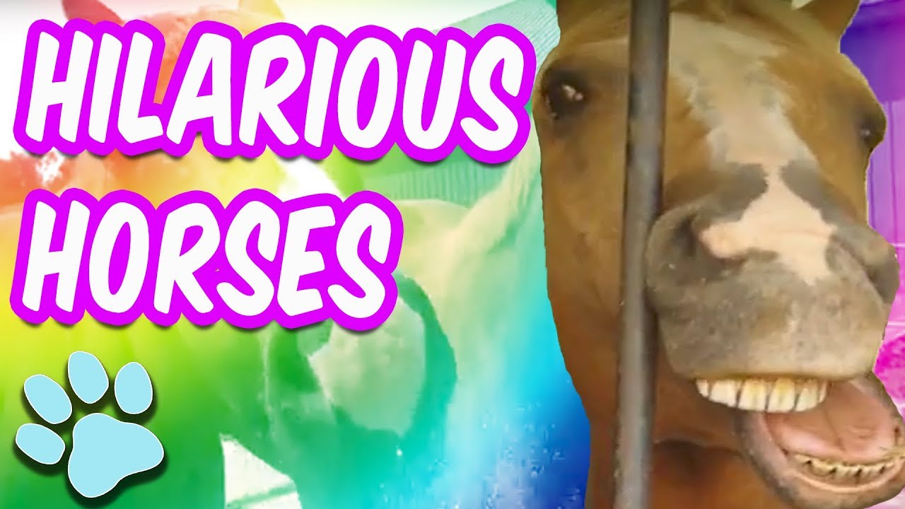 Ain't Nothin' Better Than A Horse | #thatpetlife