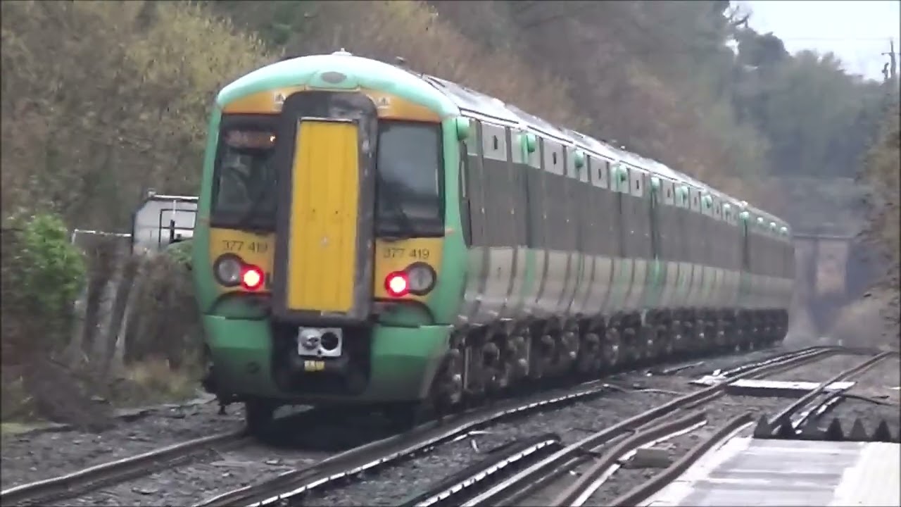 Trains at Amberley Railway Station - January 2026