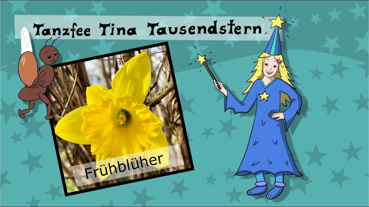 Die Frühblüher Teil 2: Narzisse, Veilchen und Primel - Wissen für Kinder 🐇