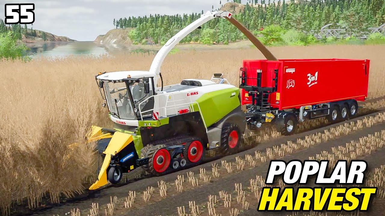 HOW MUCH WILL WE MAKE? POPLAR HARVEST | FS22 Platinum Edition - Episode 55