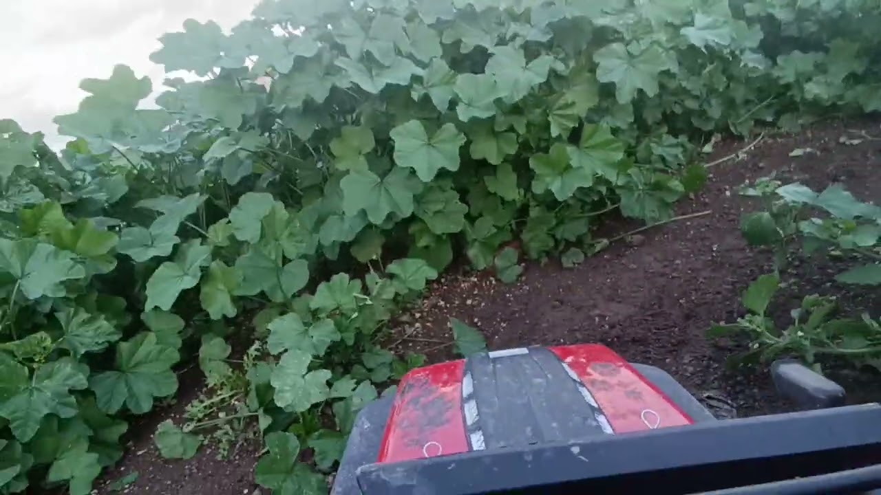 RC CRAWLER CANARIAS: Mí RC RUBICON 