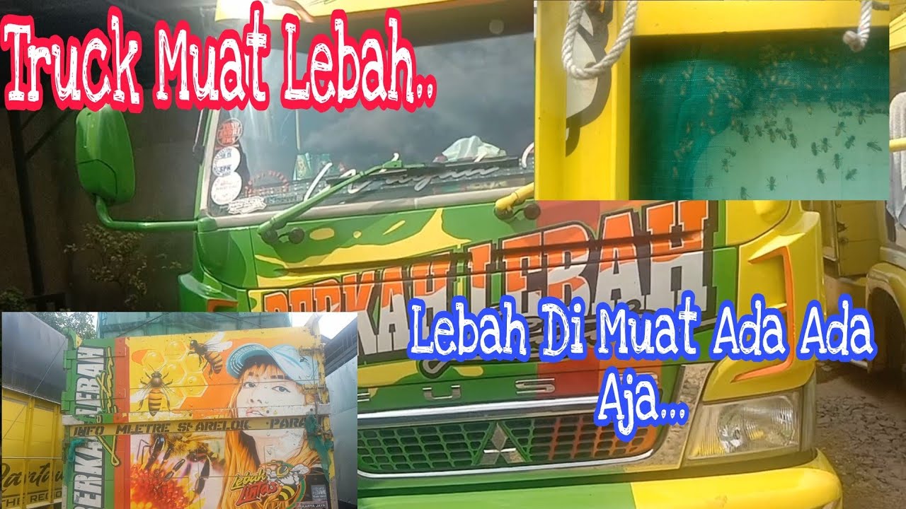 Truck Dengan Muatan Ter Aneh@Rezekijaya#lebah#apisfordata#apiscerena#apismolyfera