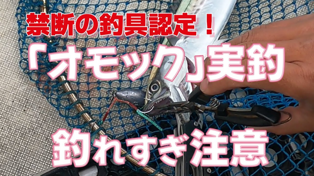 【オモック実釣】これはヤバイ禁断の釣具【富山湾氷見沖】