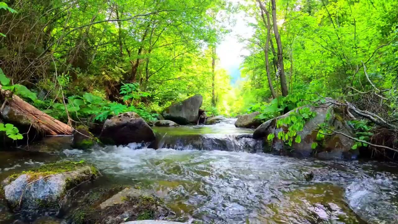 10 Hours of Gentle River Flow – Relaxing Nature ASMR for Sleep #asmr #asmrsounds