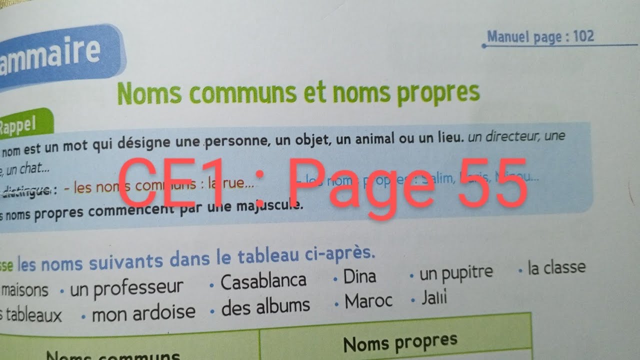 CE1 : Grammaire : Les noms propres et les noms communs. d' activités page 55.Le trésor des mots
