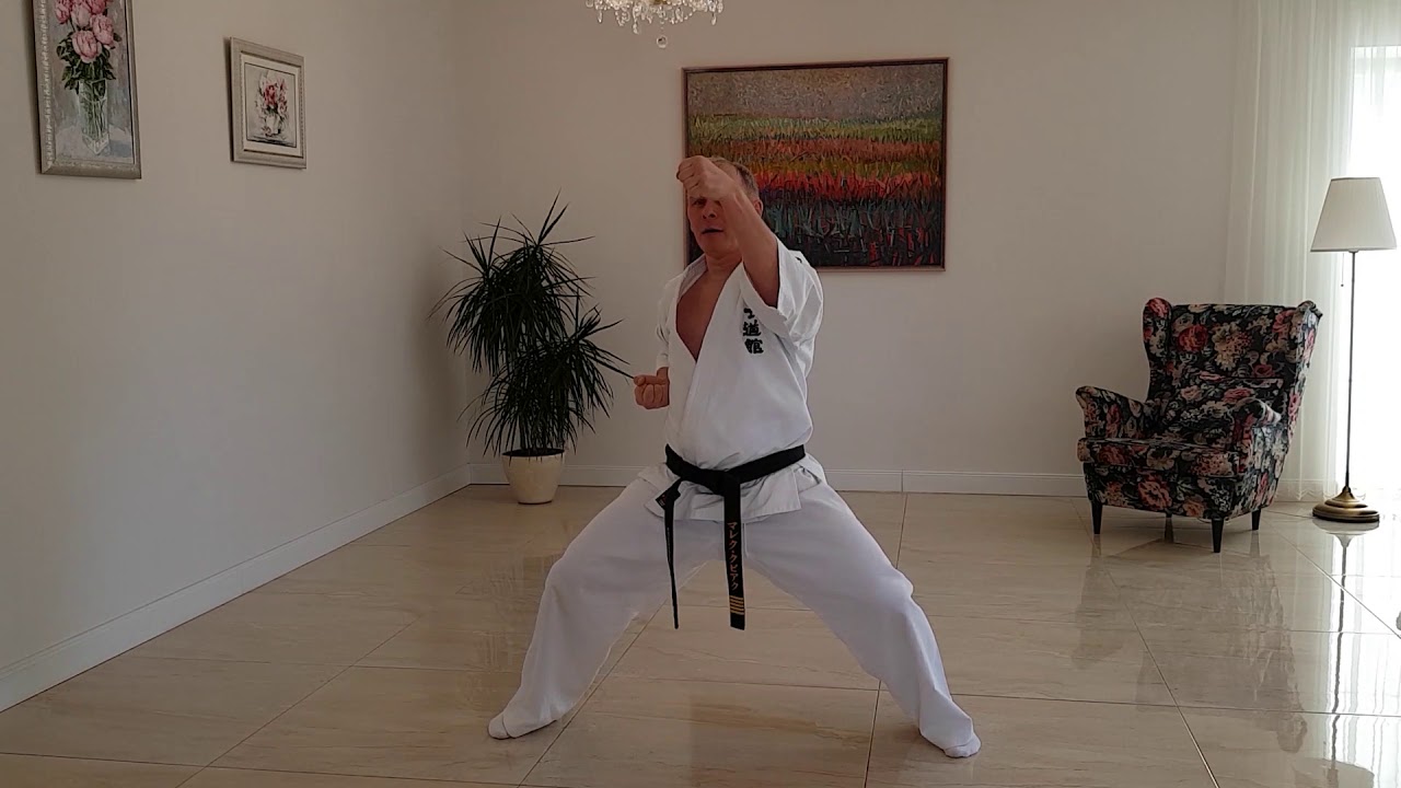 Shidokan Karate Home Training | Part 1 | Kihon & Kata