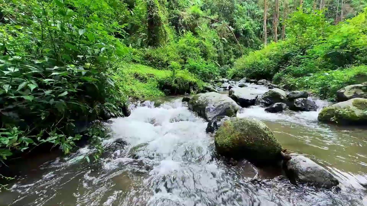 Soothe your aching mind with calming river flow in a soft valley forest to encourage deeper sleep