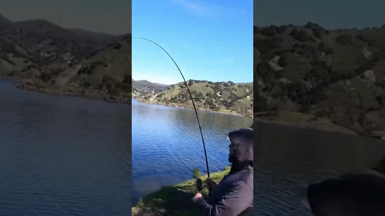 Huge bass at Lopez lake!