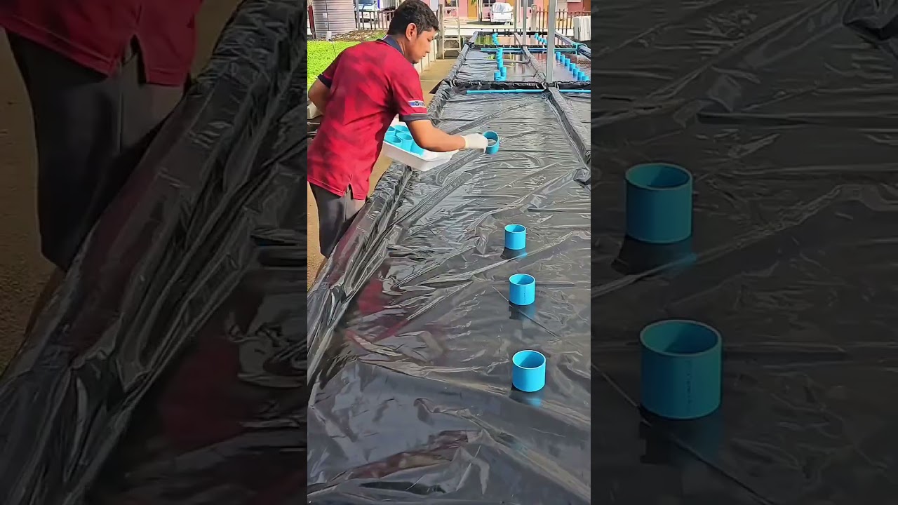diy syst&egrave;me hydroponique #astuce #afrique #formation #hydroponie #horssol #bio #agri
