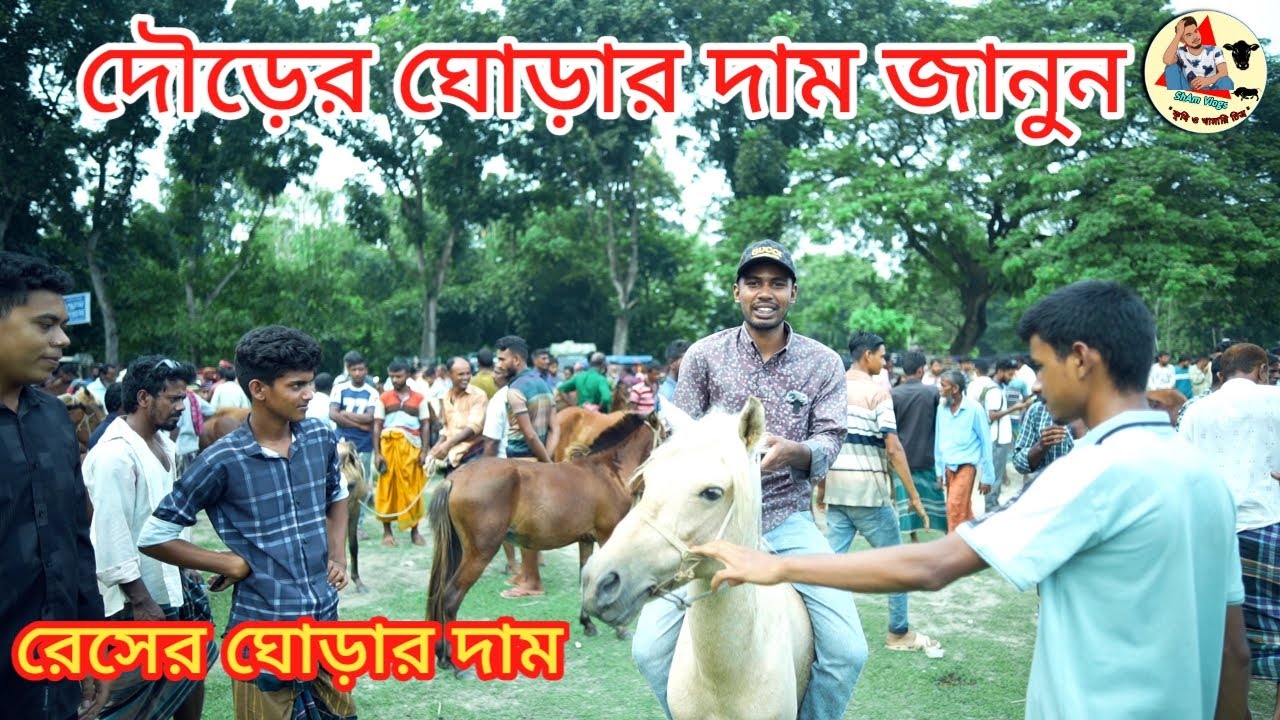 দৌড়ের ঘোড়ার দাম জানুন | ঘোড়ারহাট তুলসীপুর জামালপুর | Horse market. #horse #horses #jamalpur