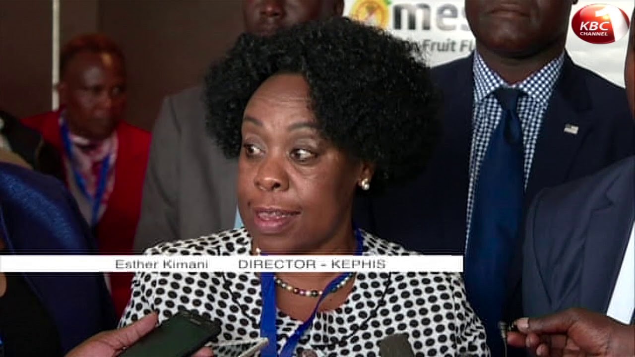 Kephis extends mango export ban indefinitely