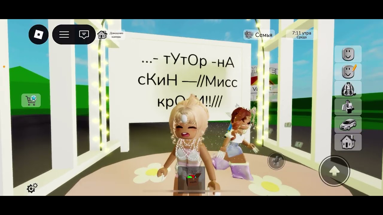 ТуТориал на бэйбика брукхейвен