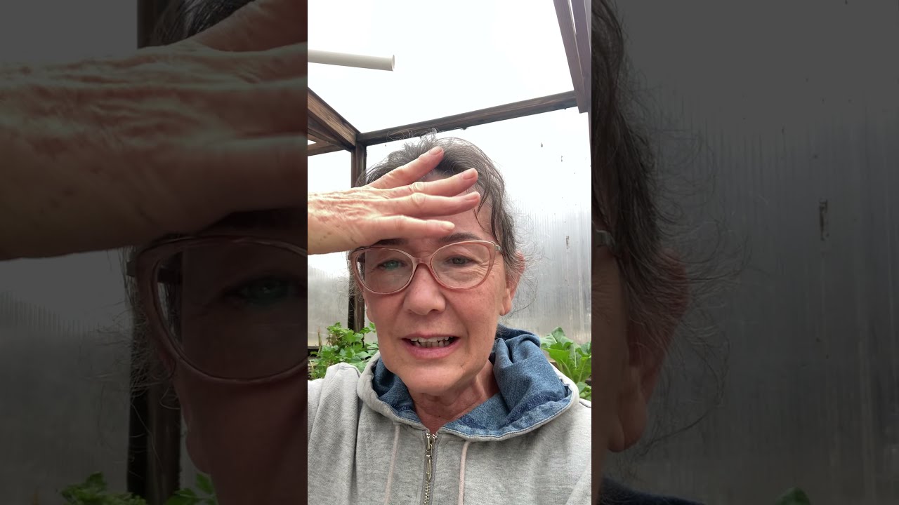 You are what you think - Debi Pearl "The Brain Lady" on how to create a beautiful brain