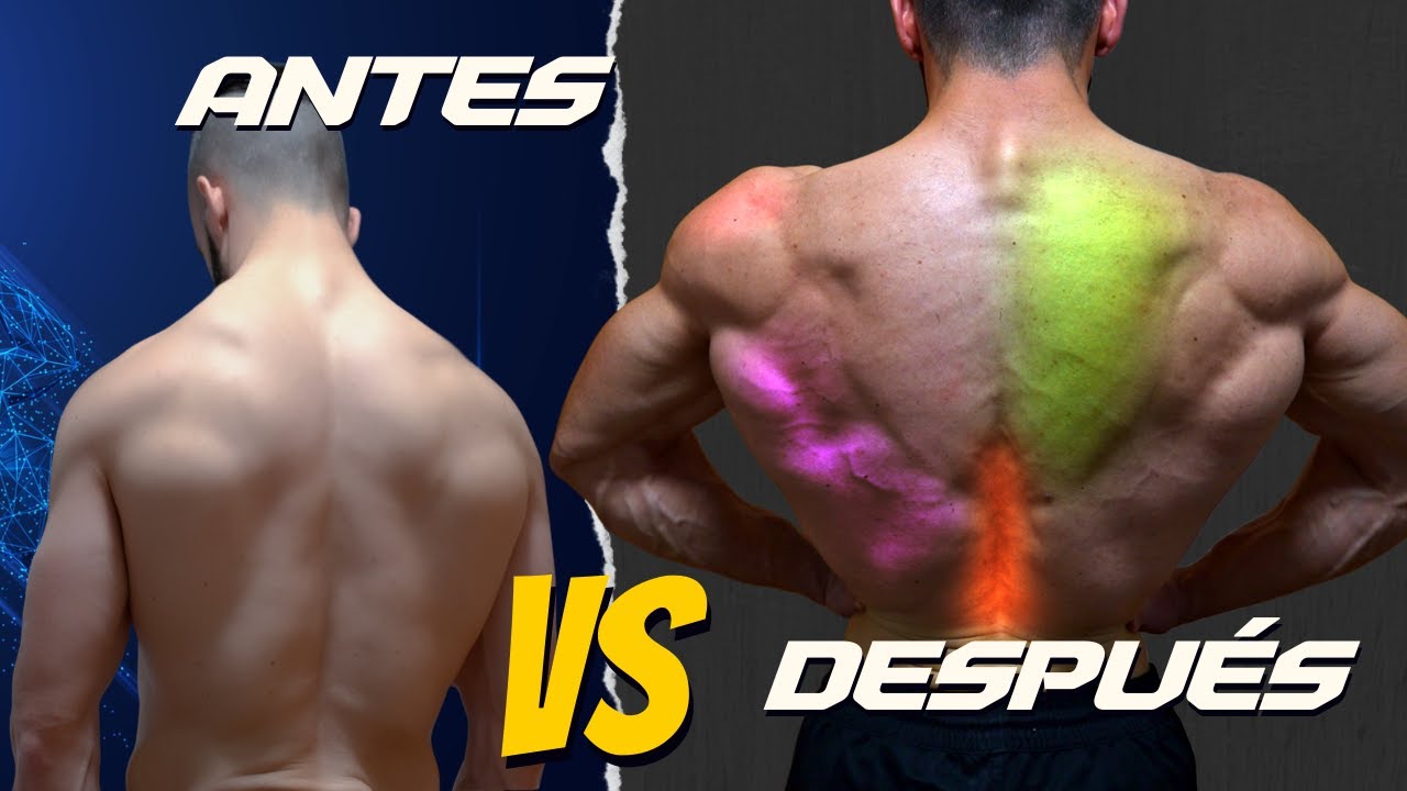 TRANSFORMA TU ESPALDA CON ESTAS 7 CLAVES