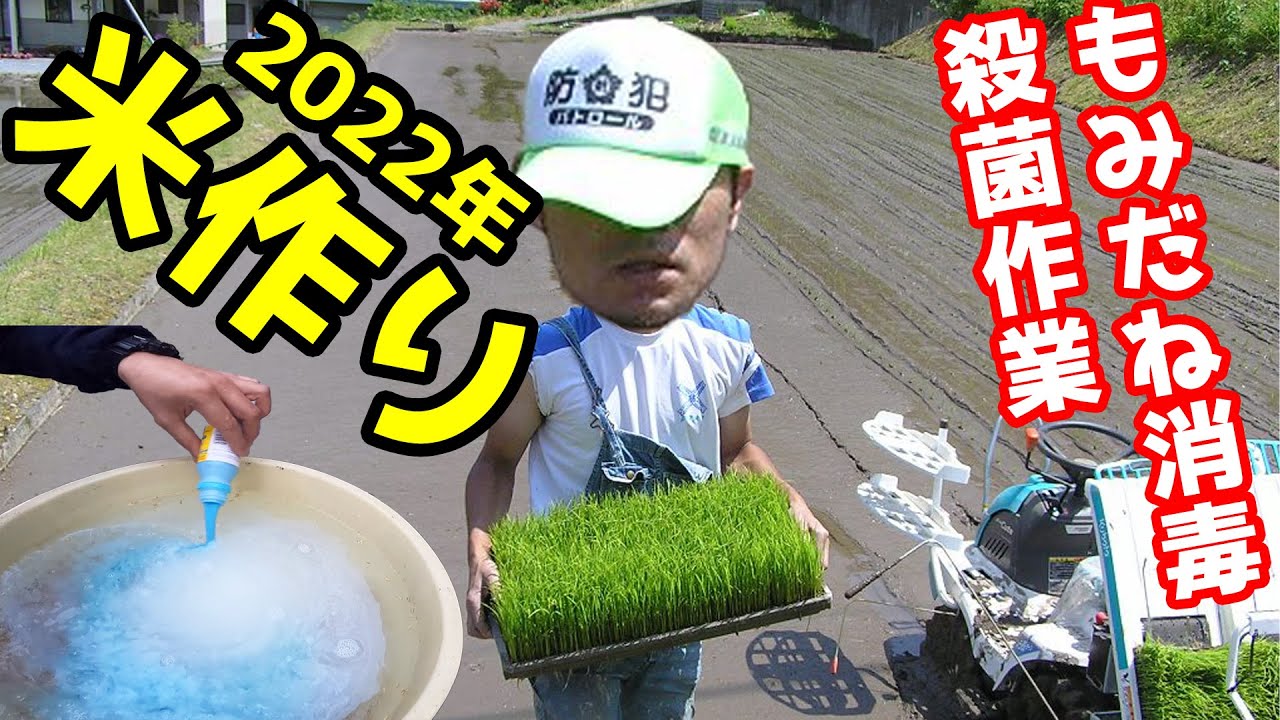 【米作り】お米を作る！種子を消毒していく。2022年米作りスタート！【種籾消毒　田んぼ　農業　種子消毒　もみだね消毒】