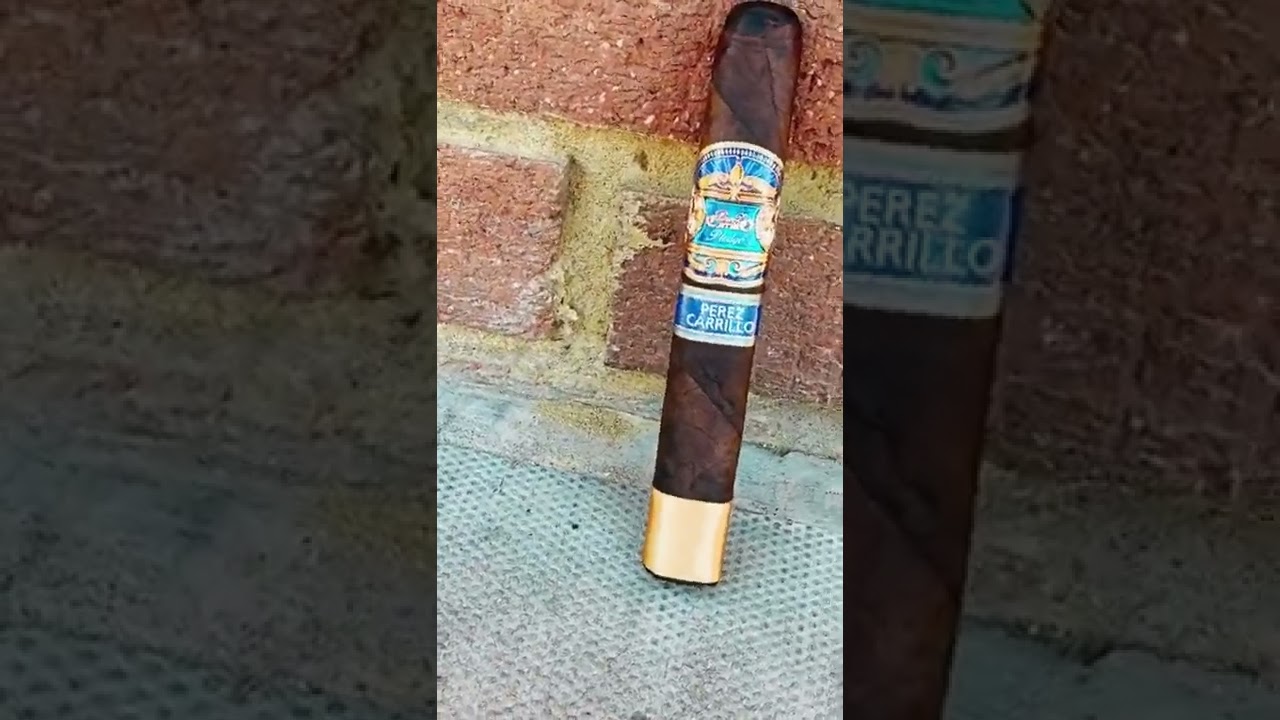 E.P Carrillo Pledge Sojourn 🍂 | #cigar #short #shortvideo #cigarreview
