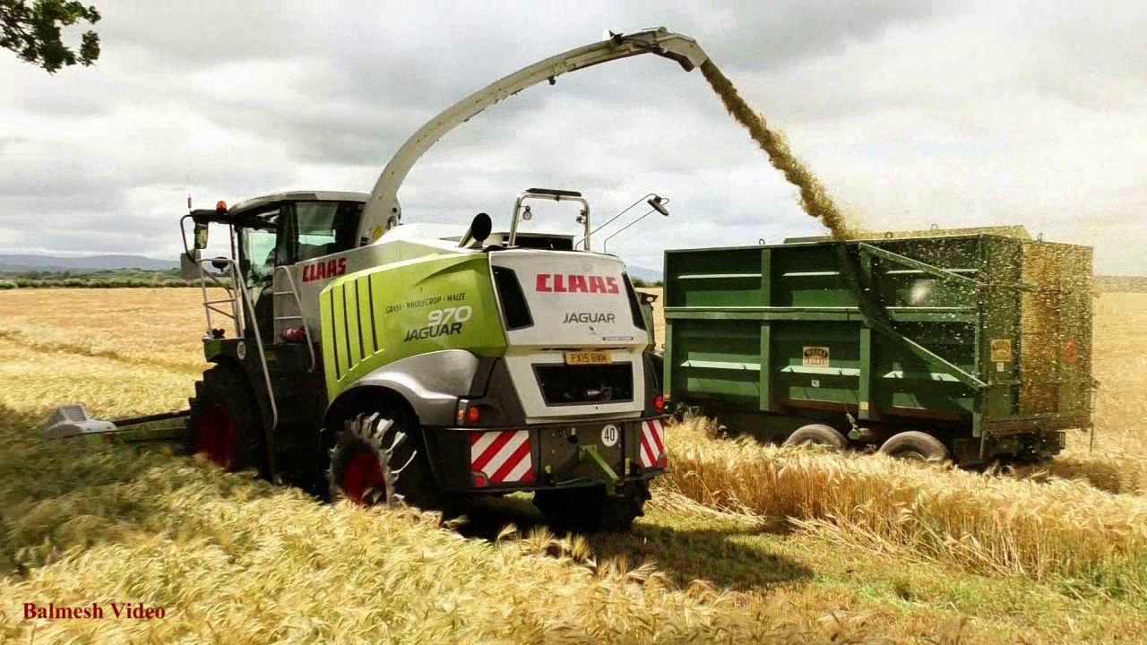 Whole-Crop Barley Silage with Claas 970