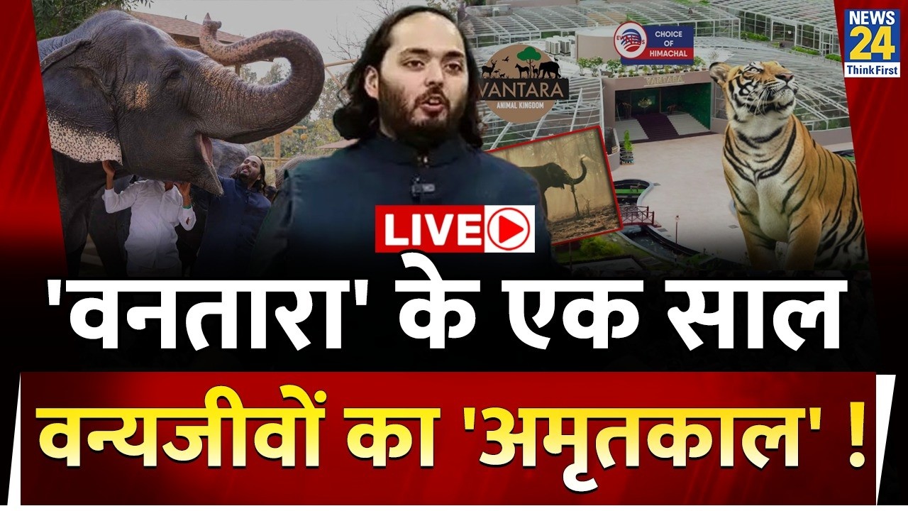 Vantara के एक साल, वन्यजीवों का 'अमृतकाल' ! Anant Ambani को मिला ‘ग्लोबल ह्यूमैनिटेरियन अवॉर्ड’ |