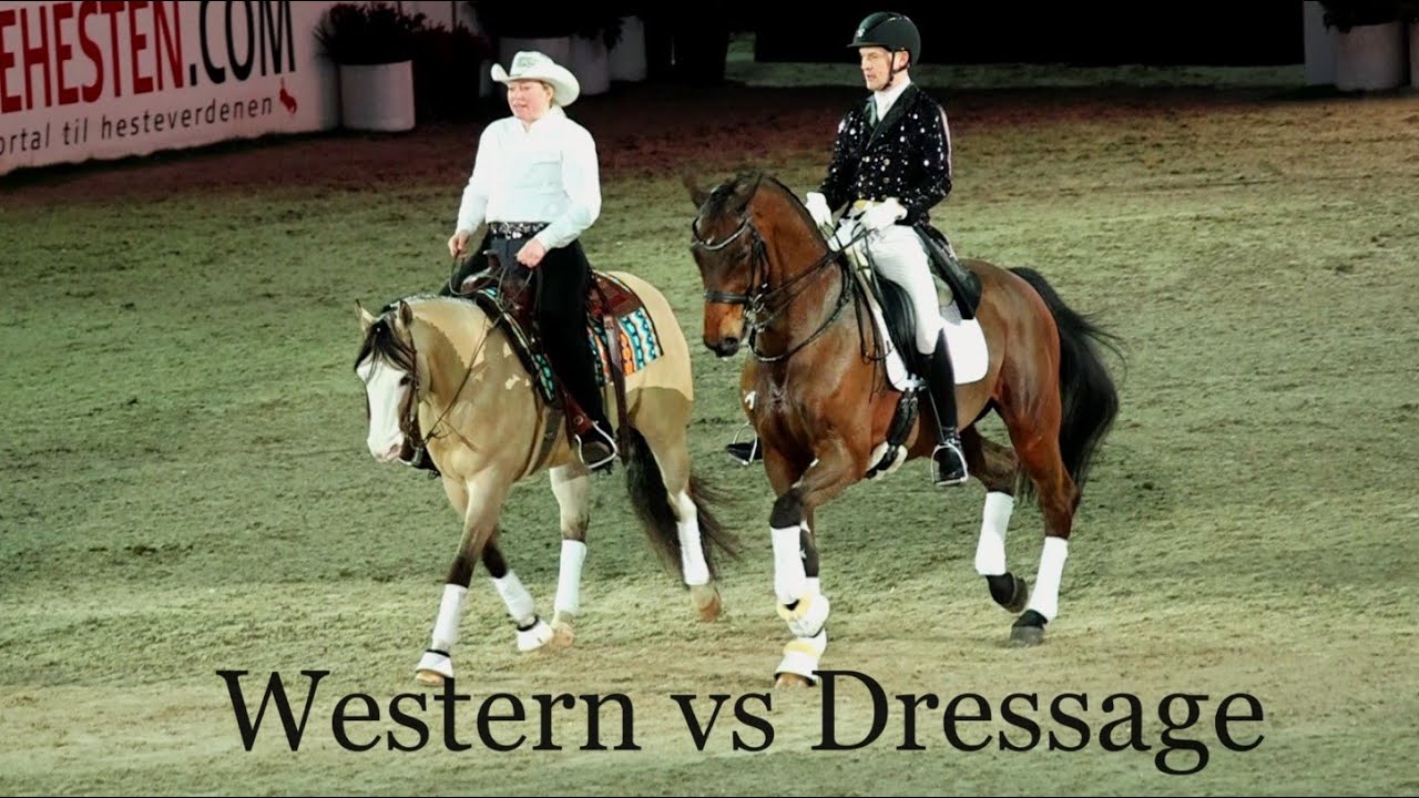 Western vs dressage horse