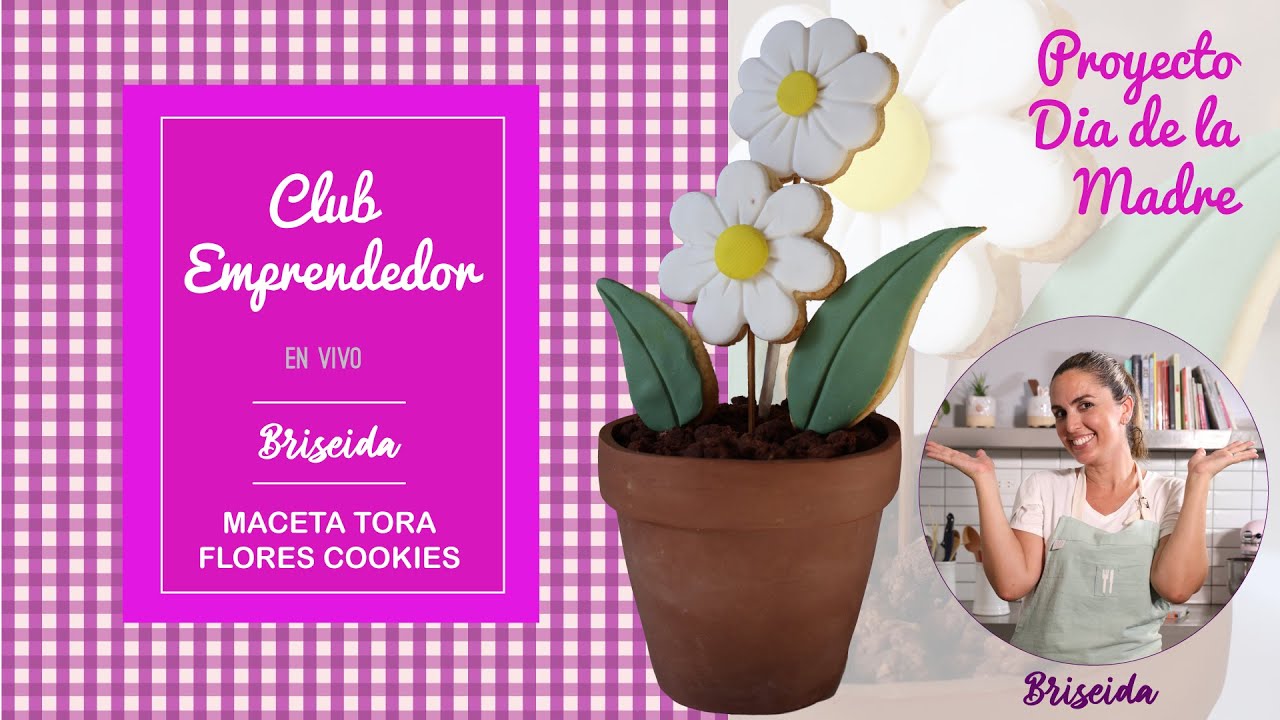 Maceta Torta y Flores Cookies - Proyecto Dia de la Madre | Briseida