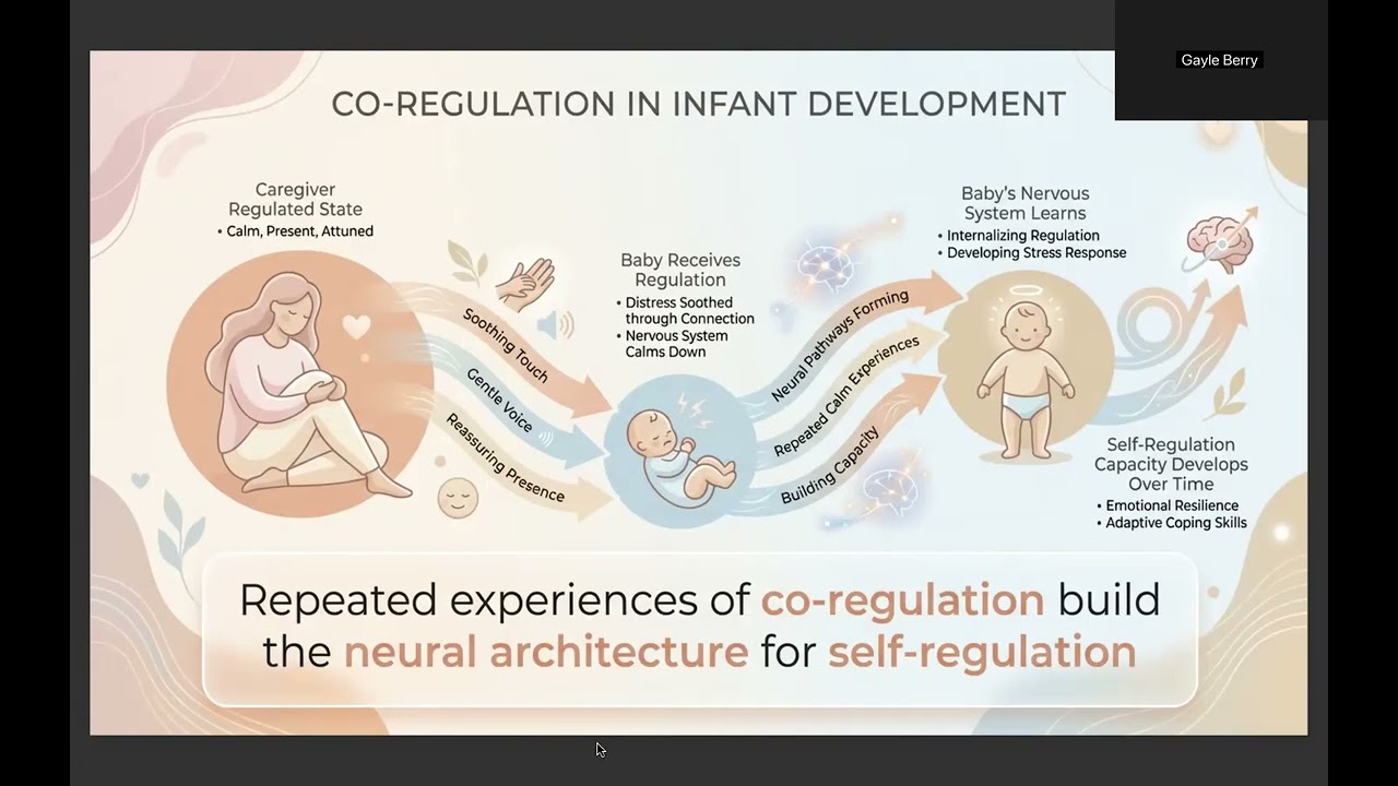 WATCH THIS The reason why your baby is not settling and is stressed and what you can do