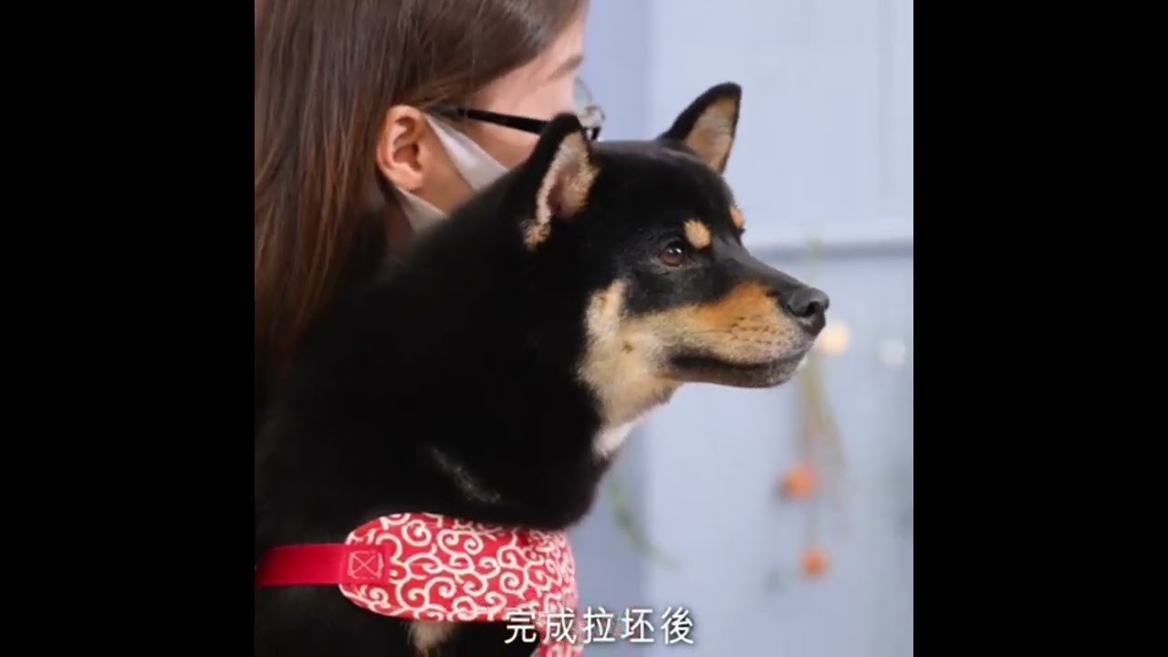 ArtHunt慢遊陶記-寵物印記班