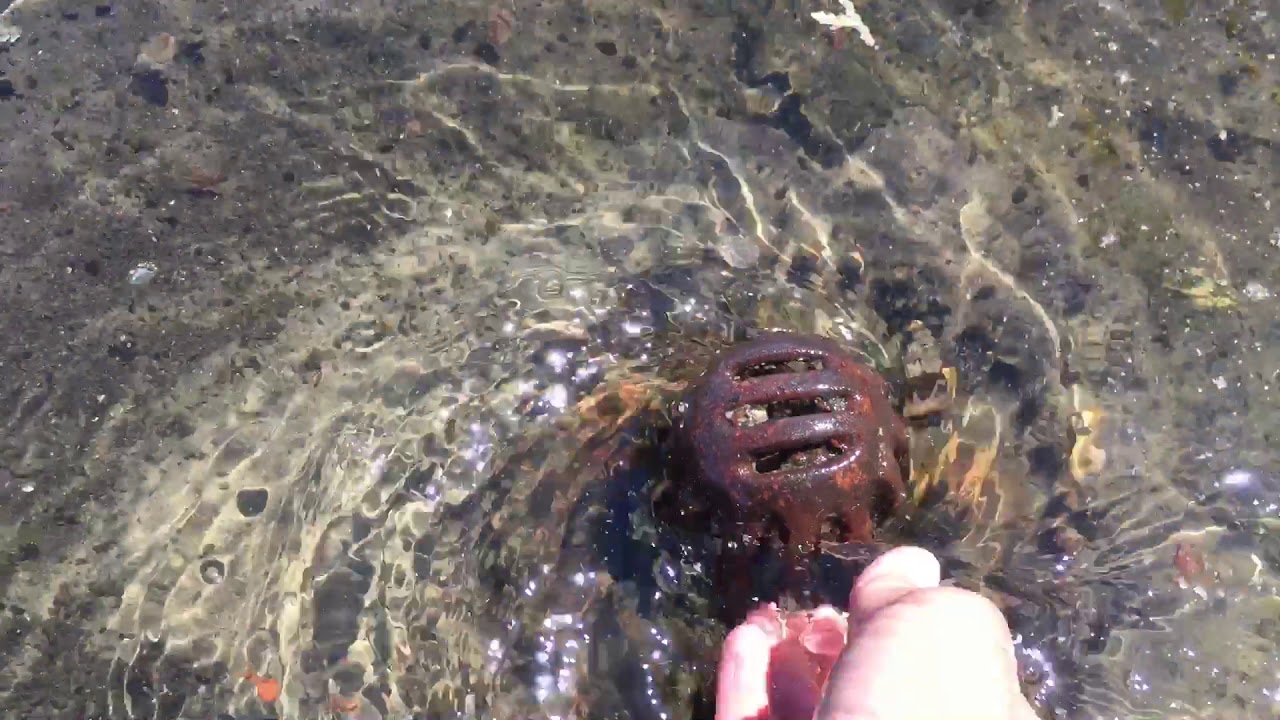 Flat Roof Water Ponding