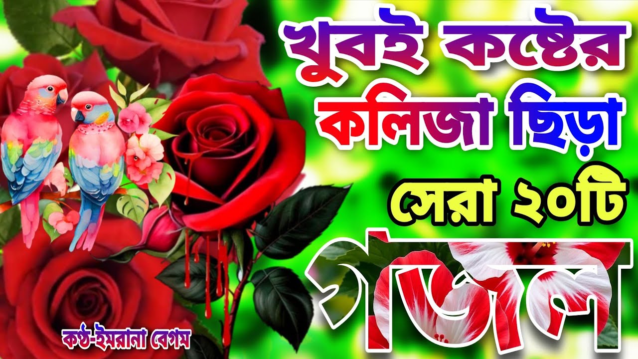 খুবই দুঃখের কবরের মায়াবী কন্ঠে মনপ্রাণ জুড়ানো ২০টি গজল।সুখের বাড়ি । Bangla Gojol। Notun Gojol 