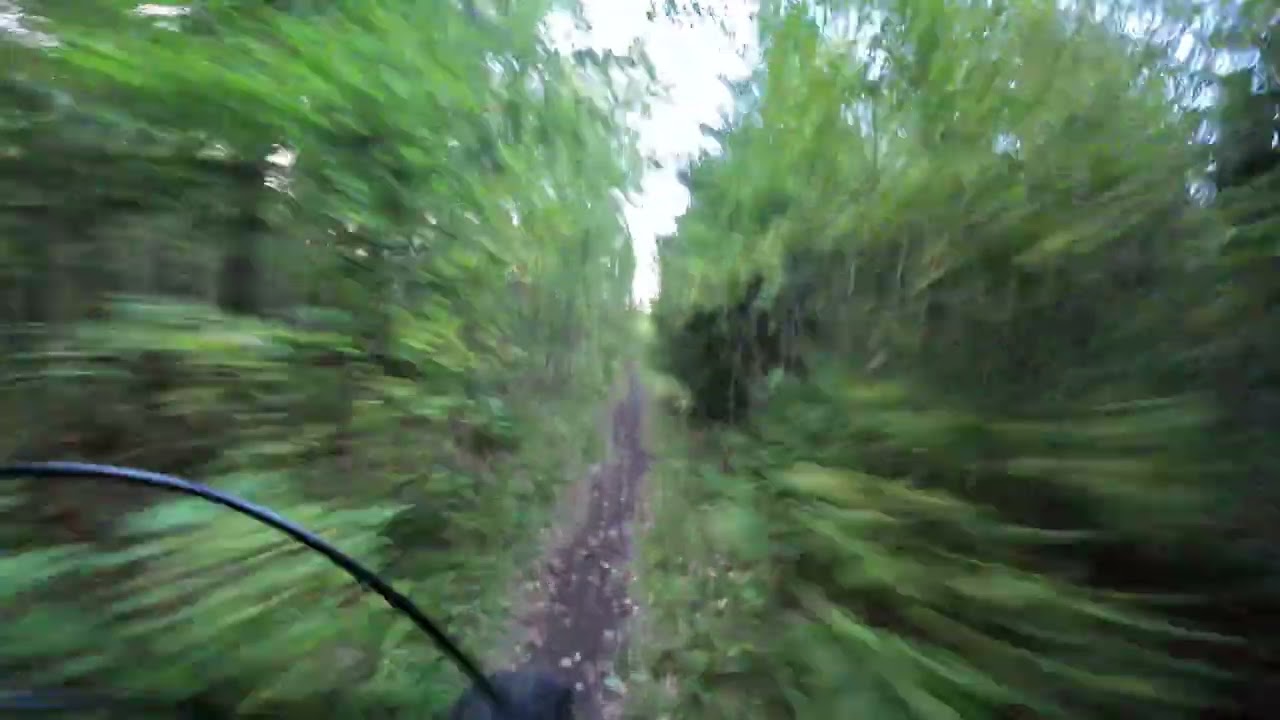 Raisio MTB : Hauninen - Kuuanvuori