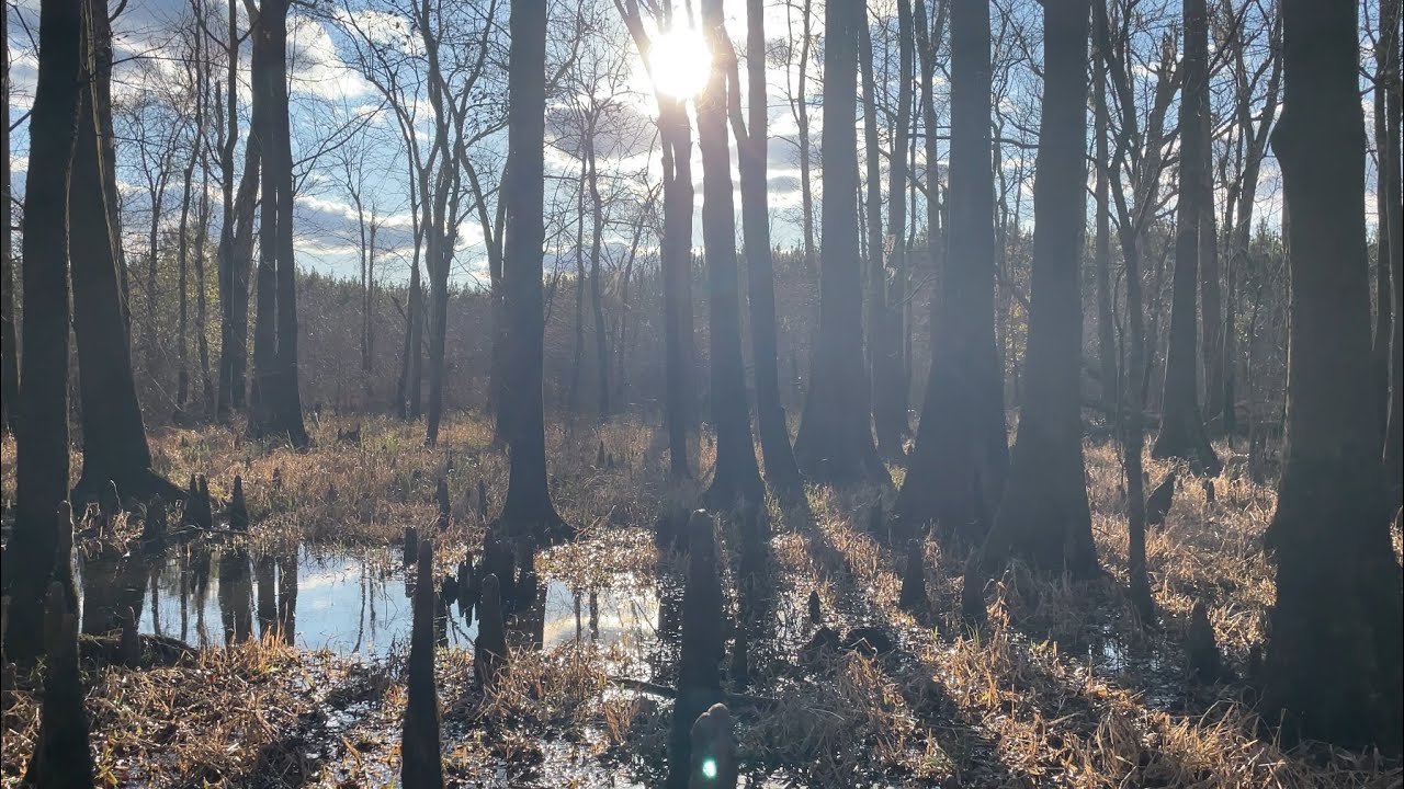 SC Longbow Adventures #3