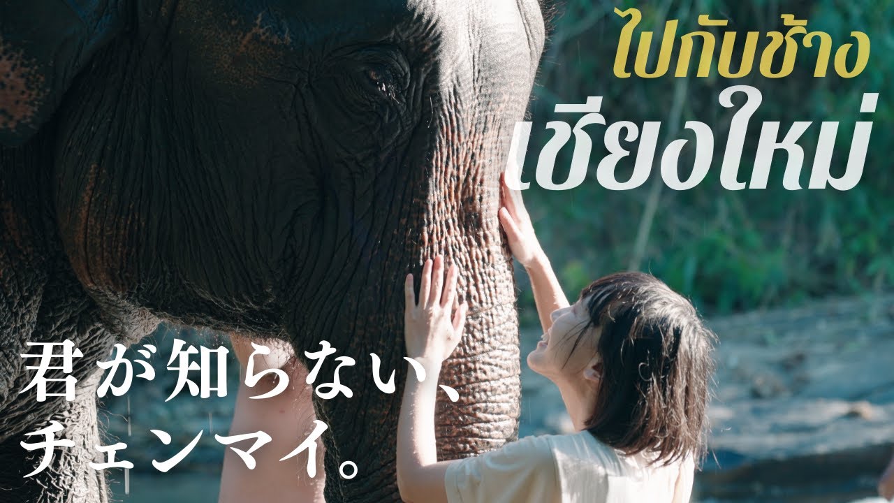 【チェンマイ】ゾウと友達になって遊ぶ、大自然のホテル｜タイ旅行