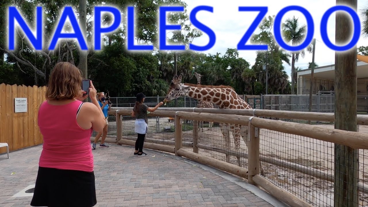 Exploring NAPLES ZOO in FLORIDA