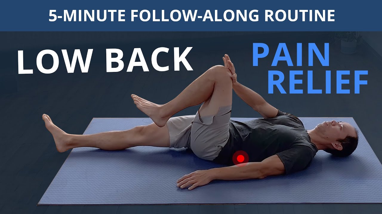 5 Minute Daily Routine for Low Back Pain Relief (FOLLOW-ALONG)