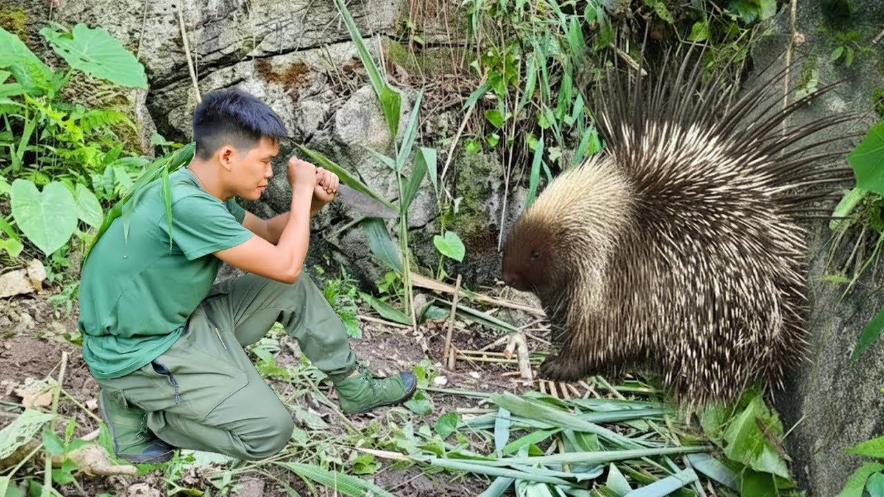 Deep Jungle Survival Life: Following Animal Tracks, Making Traps & Farming Alone