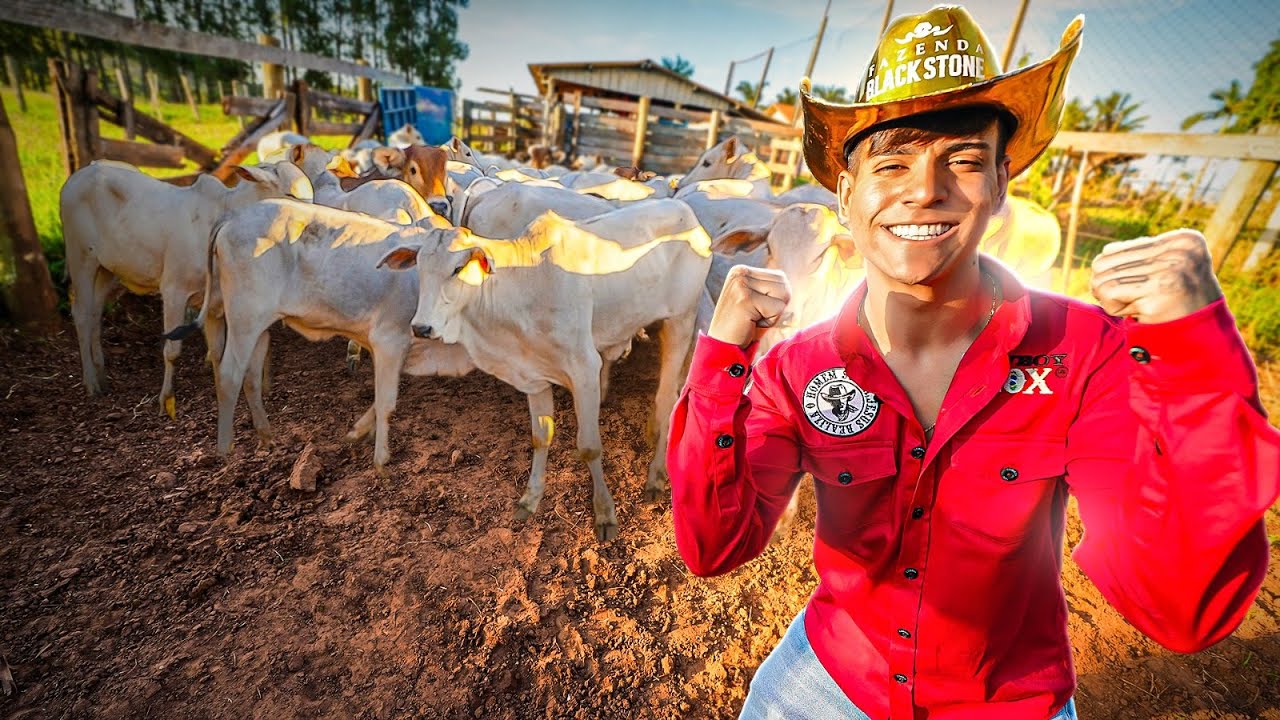 COMPREI MUITAS CABEÇAS DE GADO E ME TORNEI O NOVO REI DO GADO