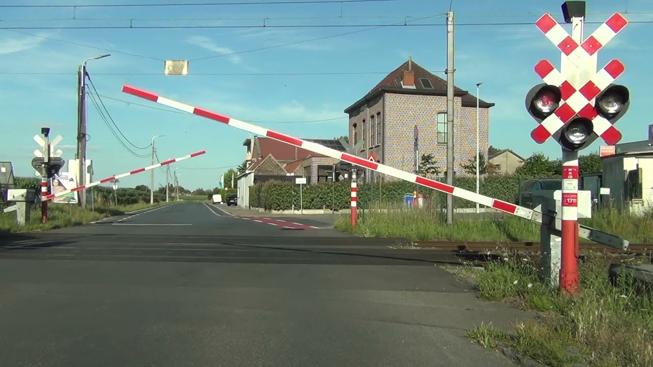 Zeger Level Crossing