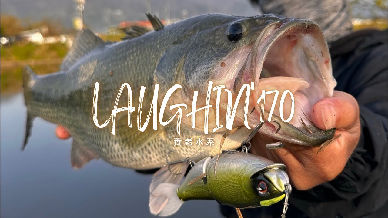 【LUXXE】LAUGHIN'170 / ラフィン170（from spring to winter 2023）