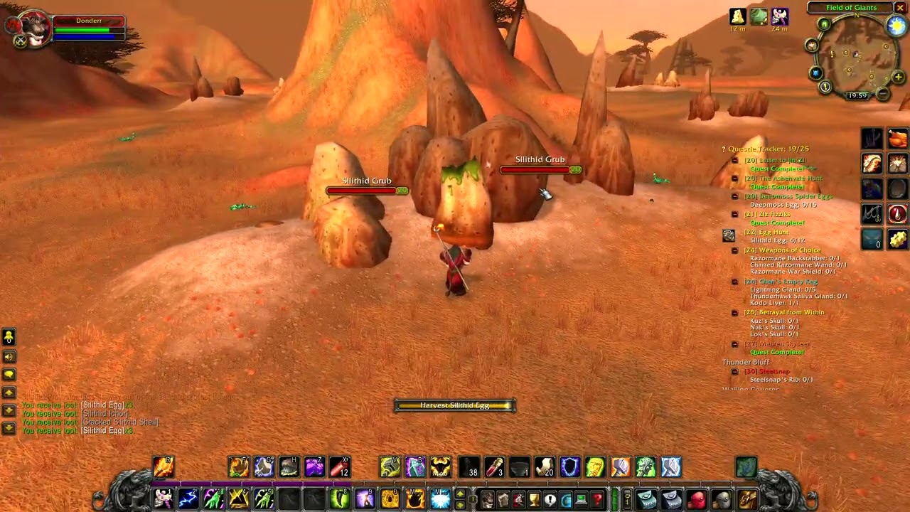 WoW Classic, Shaman Leveling, The Barrens (8)