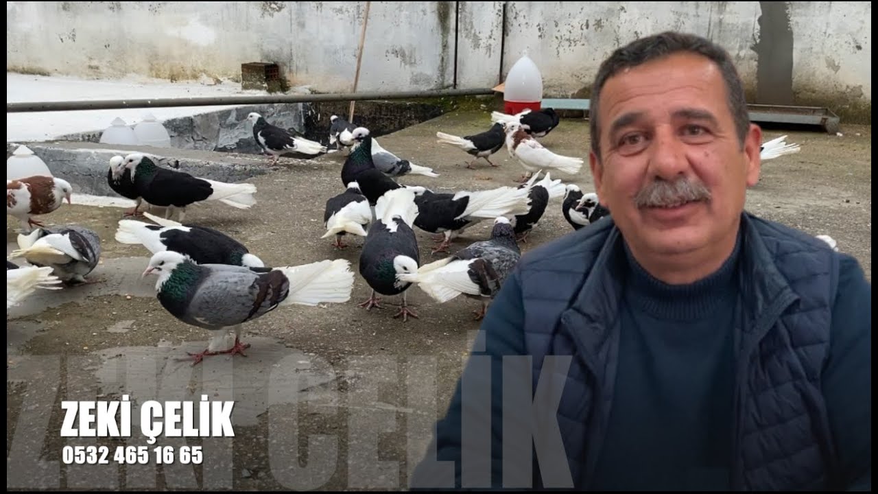 Dönek Güvercin Sohbeti Zeki Çelik (Yıkamacı)