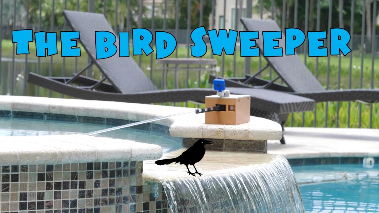 The Bird Sweeper - An Effective and Humane Bird Deterrent