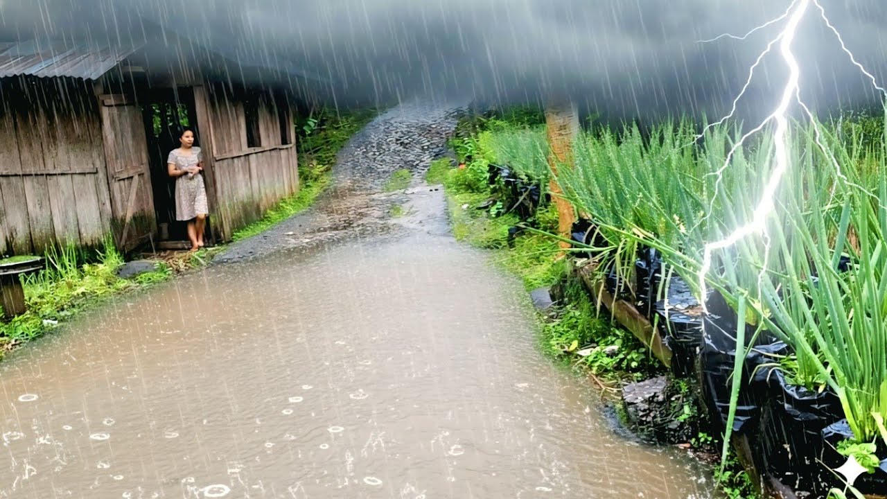 ТИХАЯ ДЕРЕВНЯ⛈️ Сильный дождь и гром в моей деревне снимают стресс