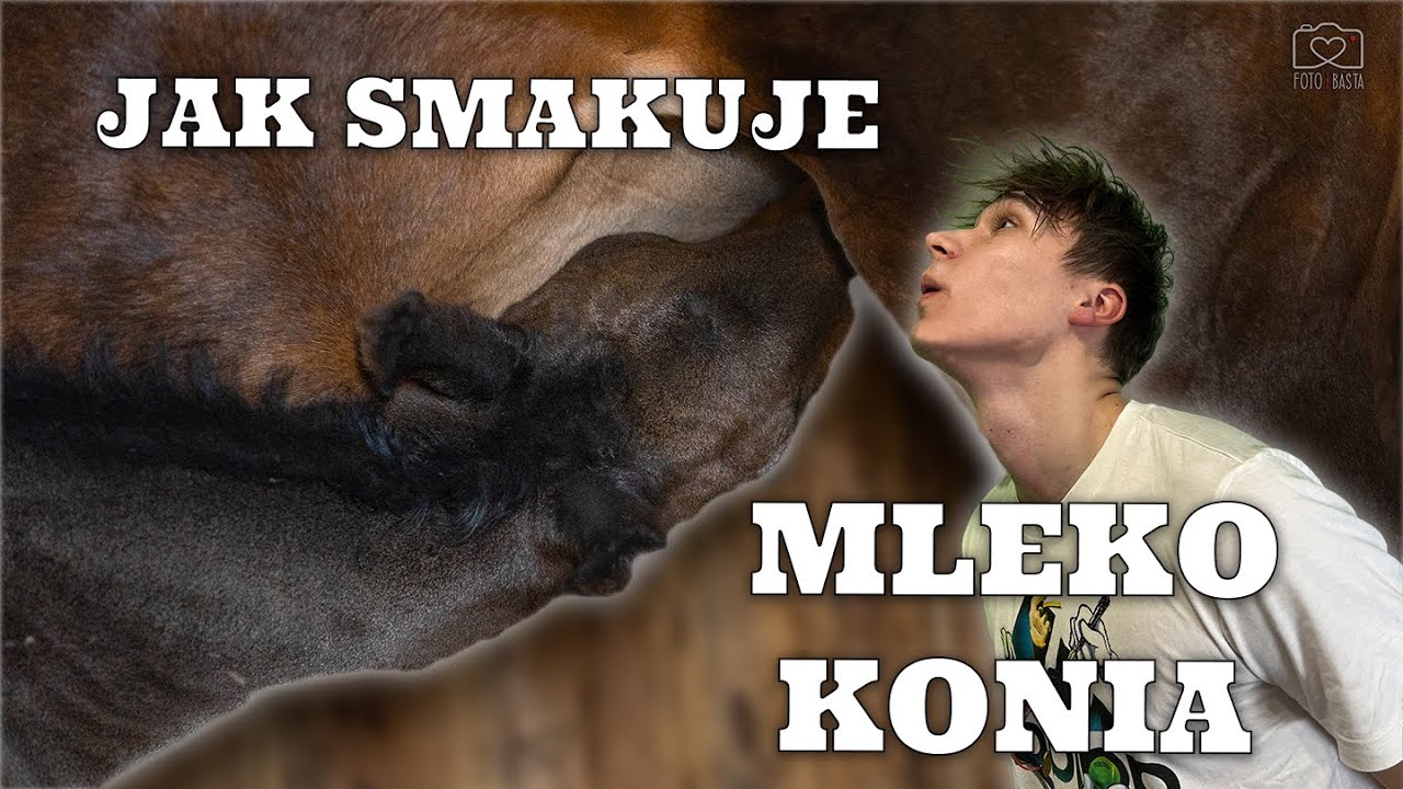 JAK SMAKUJE MLEKO KONIA?