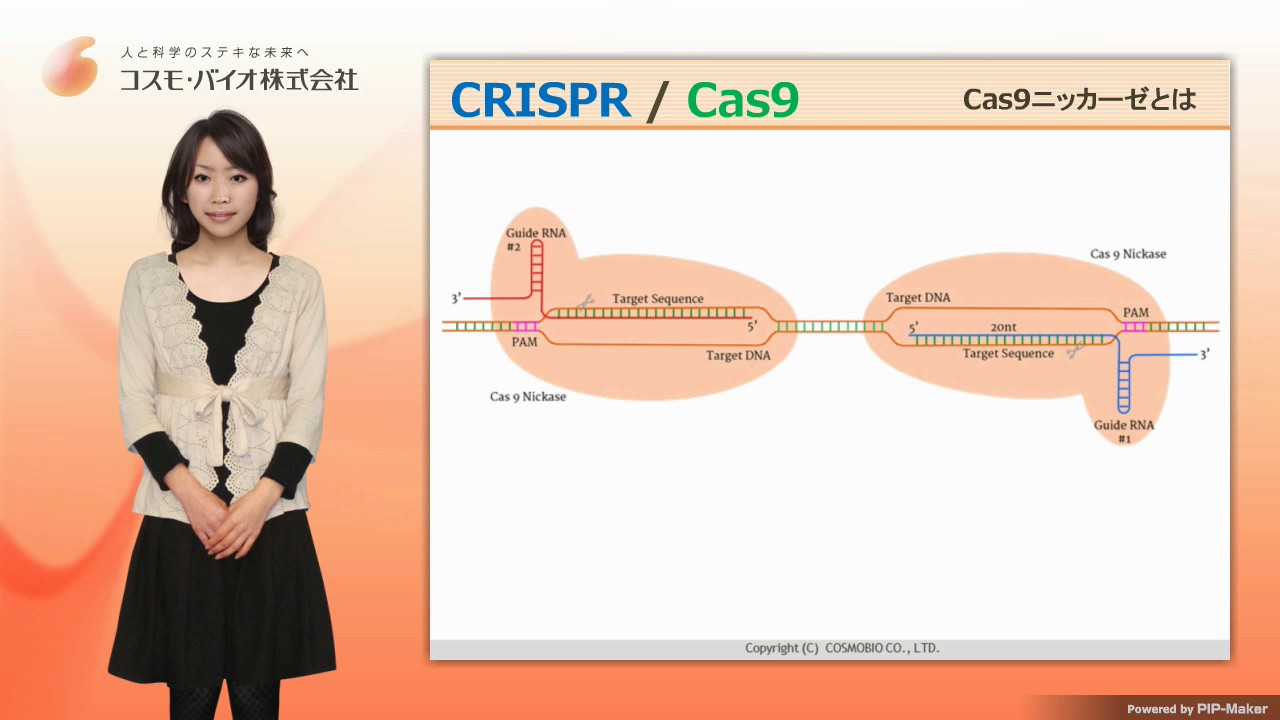 ゲノム編集とCRISPR/Cas9が8分でよくわかる動画