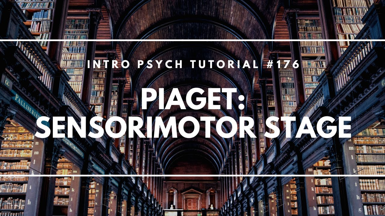 Cognitive Development: Sensorimotor Stage (Intro Psych Tutorial #176)