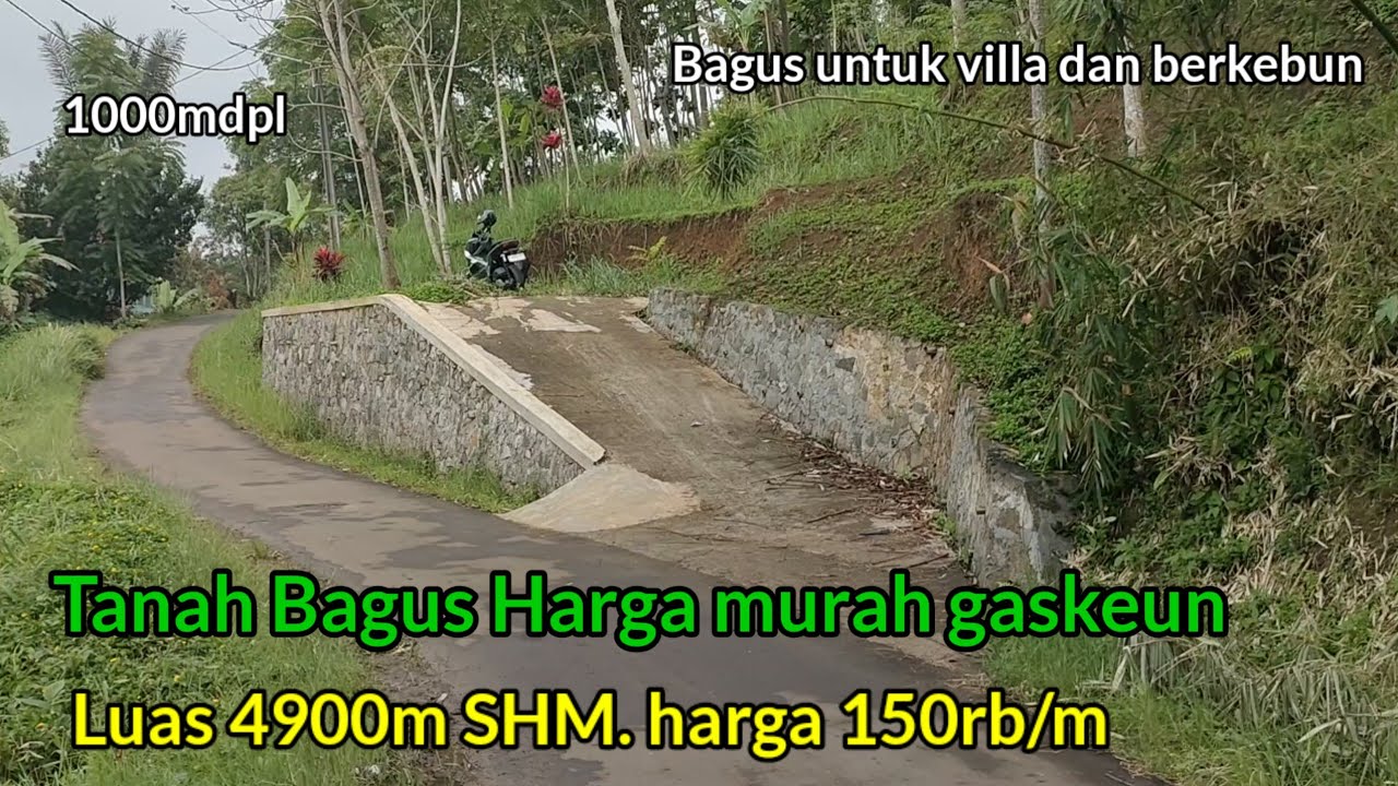 Wow Tanah nya bagus Harga murah Luas 4900m SHM harga cuma 150rb/m 